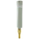 Thermometer, Raypak, Brass, Straight : 000919
