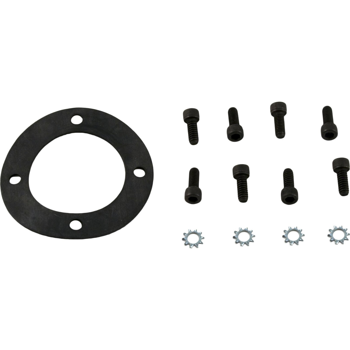 Venturi Hardware Kit, Zodiac Laars HI-E2 : R0320600