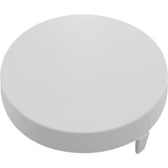 Pool Skimmer Gunite Blank Insert - White : 519-6460