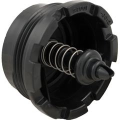 Spring Check Valve, Pentair Sta-Rite System 2 : 27001-0130S