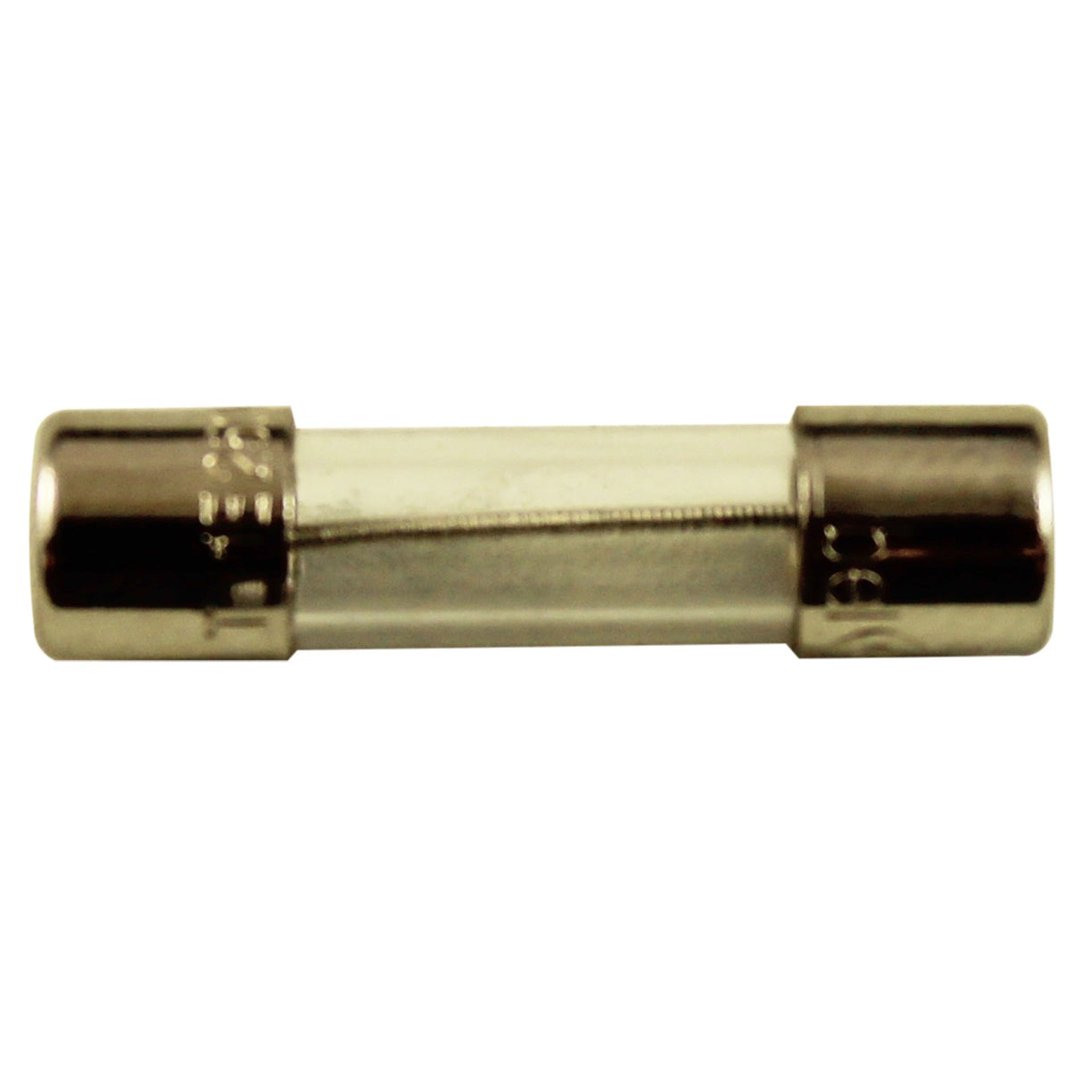 Fuse, Slow Blow, Balboa Water Group, 1A, 250VAC, 5MM x 20MM : 26983
