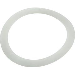 Washer, Pentair Mytilus/FNS Polymeric, 2-3/8" x 3" : 195004Z