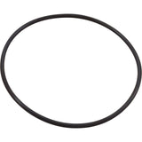 Seal Plate O-Ring, Pentair IntelliFloXF/IntelliProXF : 351446Z