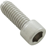 Screw, Pentair EQ Series Impeller, Sckt Hd, 3/8"-18 x 1", SS : 071037Z