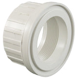 Union Adapter, Pentair, 2" Female Buttress Thread : U11-199PZ