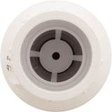 Check Valve, Flo Control 1011, 1"s, 1/2lb, Spring, Water : 1011-10