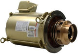 Motor, Pentair, 15.0hp, 380v-415v, 3ph, 50Hz, C-Ser, CHKL-150, Kit : 014804