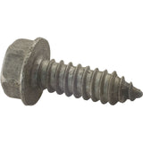 Screw, Pentair Sta-Rite, 5/16-14 x 1" : U30-918SS