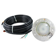 Spa Light, Pent IntelliBrite ARC, Wht LED, 12v, 150ft, 100W Eq : 618018