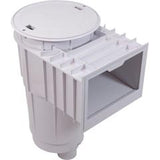 Skim-Master, 2" W/Over-Flo Port : SP1072T2