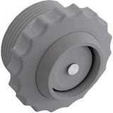 Check Valve, Spring, Return Line, 1-1/2"mpt, Dark Gray, Spa : V20-341