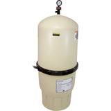 DE Filter, Pentair FNS Plus FNSP60, 120 GPM, 60 sqft, 2" : 180009