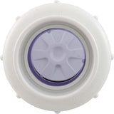 Check Valve, Flo Control, Swing, 2" Slip, True Union : 1720C20