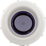 Check Valve, Flo Control, Swing, 2" Slip, True Union : 1720C20