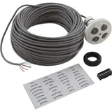 Control Panel, Jandy Spa-Side 4 Function, White, 100' Cord : 7441