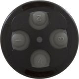 Control Panel, Jandy Spa-Side 4 Function, Black, 100' Cord : 7442