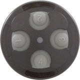 Control Panel, Jandy Spa-Side 4 Function, Gray, 100' Cord : 8049