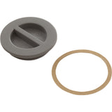 1.5In Npt Flat Plug, Gray : 25542-001-000