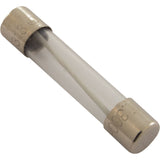 Fuse, Balboa Water Group, 0.3 AMP : 21581