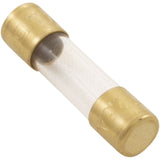Fuse, Maytronics Dolphin, Slow Blow, 2.5A : 1930251