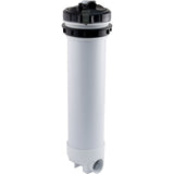 Cartridge Filter, Waterway Top Load, 100 sqft, 2"s : 502-9910