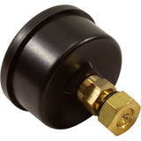 Pressure Gauge KIt, Astral Terra/Cel Cartridge Filter : 4404210303