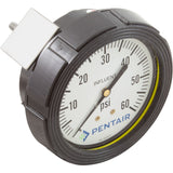 Influent Pressure Gauge, Paragon Stark, 0-60psi : 4615