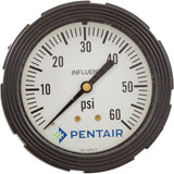 Influent Pressure Gauge, Paragon Stark, 0-60psi : 4615
