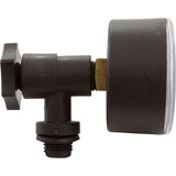 Pressure Gauge Kit, Astral, Back Mount, 1/8" : 4404080104