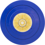 Cartridge 4 Pack, Pentair Clean & Clear Plus 520 : 179136