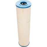 Cartridge, Raypak Protege RPCFP100 : 018242F