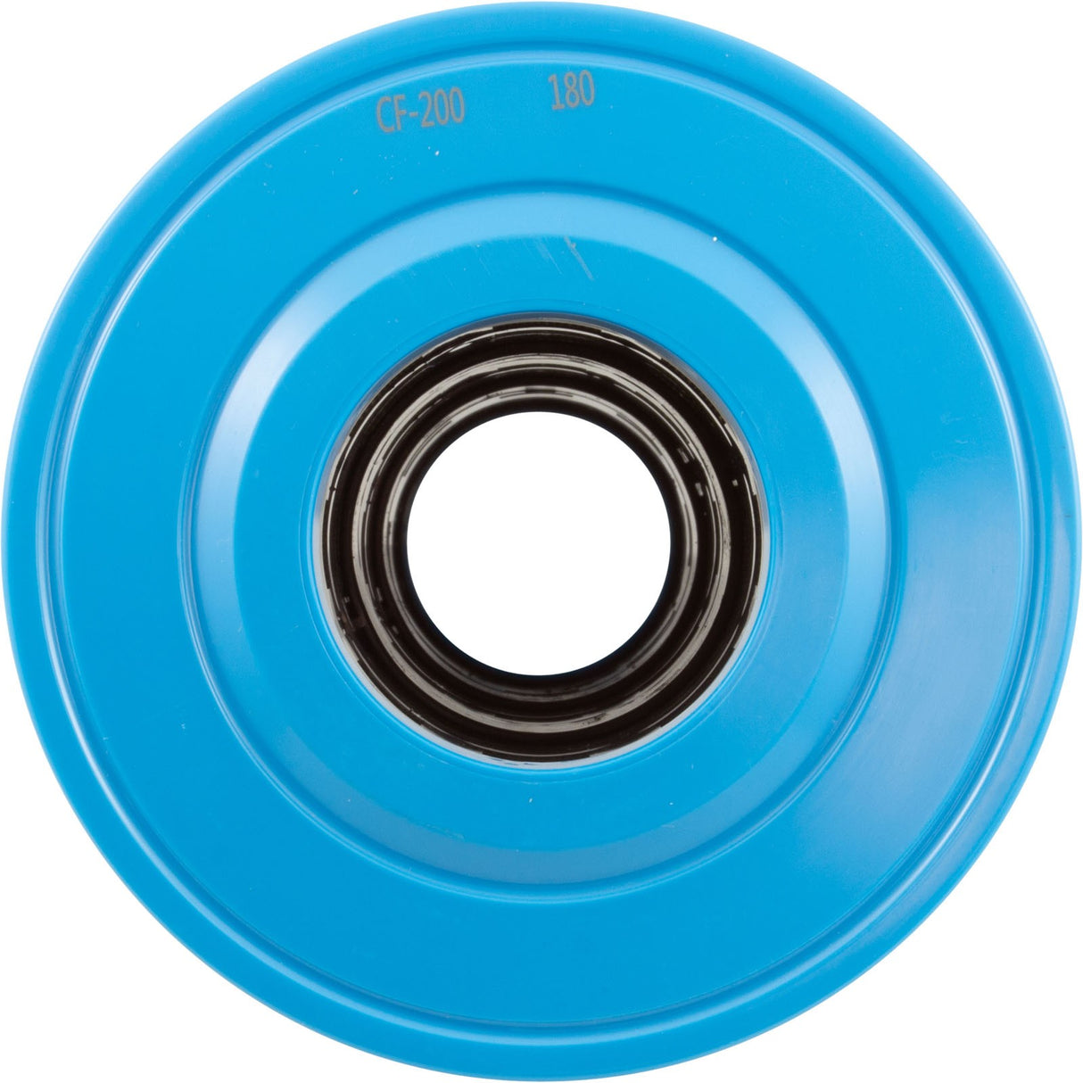 Cartridge, Raypak Protege RPCFP202 : 018244F