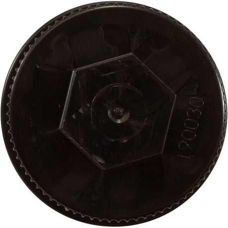 Drain Plug, Pentair American Products Clean and Clear/Quad : 190030Z - Pentair - 788379883256 - PartsForSpas.com