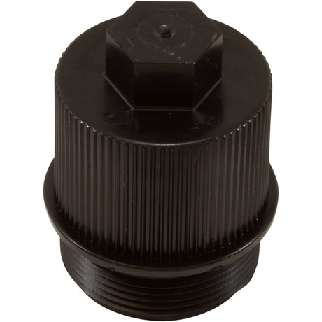 Drain Plug, Pentair American Products Clean and Clear/Quad : 190030Z - Pentair - 788379883256 - PartsForSpas.com