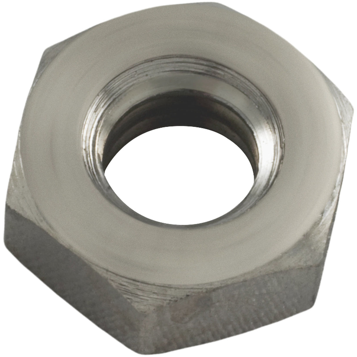Nut, Pentair American Products/PacFab, 1/4-20, Filters & Vlvs : 98211400Z - Pentair - 788379913038 - PartsForSpas.com