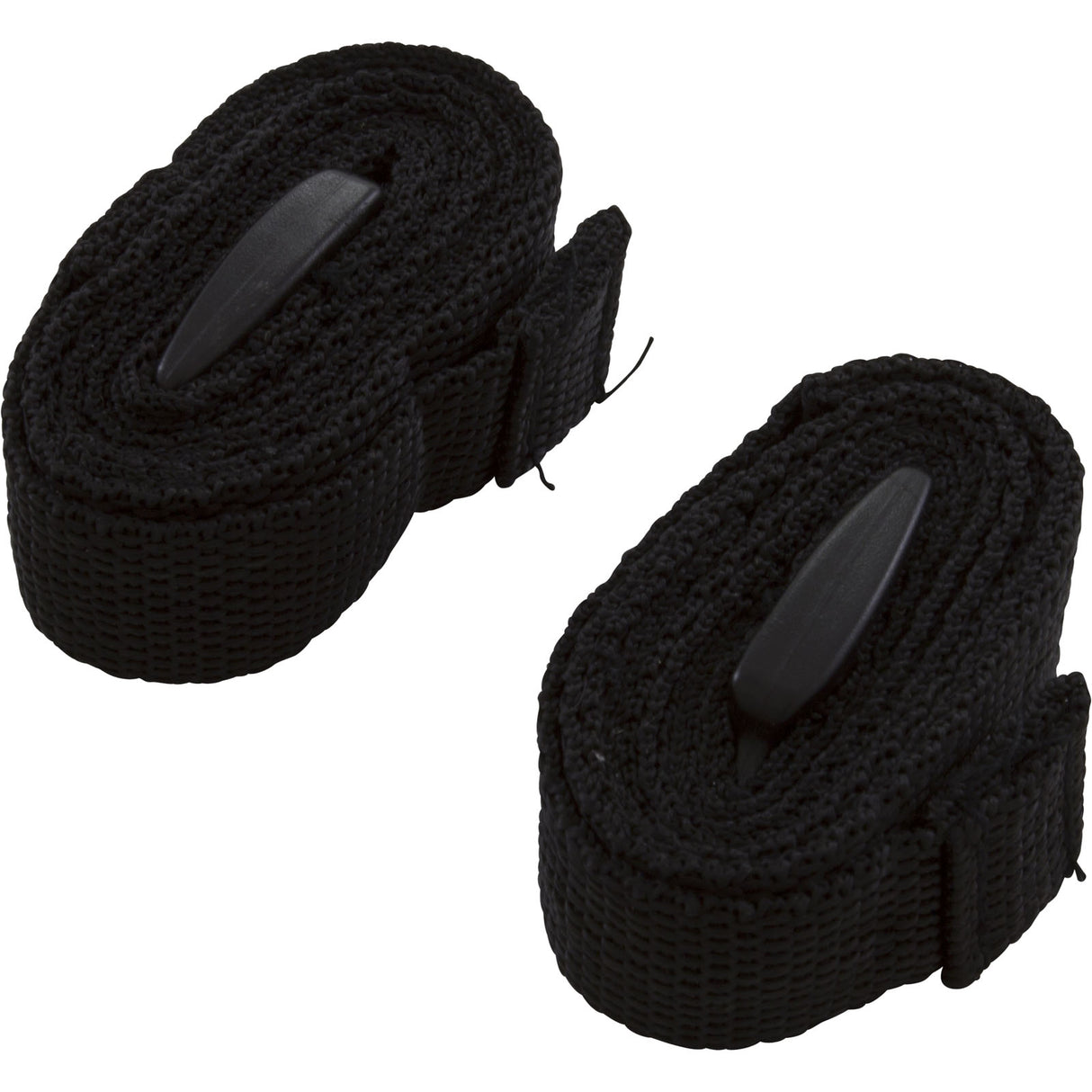 Lifting Strap, Pack of 2, Carvin Avalance AV100 : 23495302R2 - Carvin - 23495302R2 - PartsForSpas.com