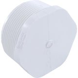 PVC Plug, Pentair Purex CFM/SMBW : 071559 - Purex/Pentair - 071559 - PartsForSpas.com