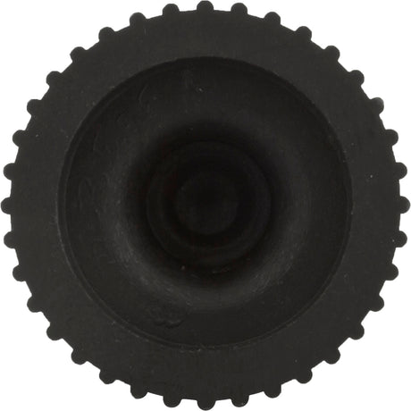 Bleeder, Pentair PacFab, with O-Ring : 273512 - PacFab/Pentair - 273512 - PartsForSpas.com