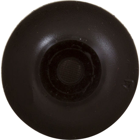 Air Relief Strainer, Pentair PacFab ST : 191329 - PacFab/Pentair - 788379693596 - PartsForSpas.com