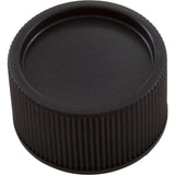 Drain Cap, Pentair American Products Warrior/CC : 51516200 - American Products/Pentair - 51516200 - PartsForSpas.com