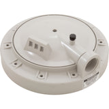 Tank Lid, Hayward Perflex EC30 : ECX1131P - Hayward - 0610377024334 - PartsForSpas.com