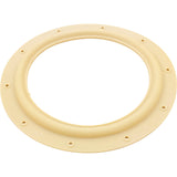 Gasket, Hayward Perflex EC30, Tube Sheet : ECX1039