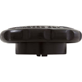 Piston Knob, Hayward RegenX RG450 : RGX45K - Hayward - 610377234351 - PartsForSpas.com
