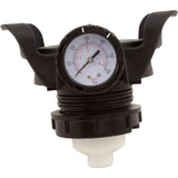 Pressure Relief Valve Assy, Waterway Crystal Water, HD : 550-6730 - Waterway Plastics - 806105661975 - PartsForSpas.com