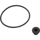 Manifold, Zodiac Jandy CL/CV : R0357600 - Jandy/Laars/Zodiac - 052337017947 - PartsForSpas.com