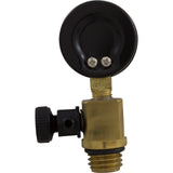 Pressure Gauge/Air Relief, FNS Plus, Val-Pak, Generic : V20-225 - Val-Pak - 811636020092 - PartsForSpas.com