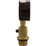Pressure Gauge/Air Relief, FNS Plus, Val-Pak, Generic : V20-225 - Val-Pak - 811636020092 - PartsForSpas.com