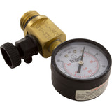 Pressure Gauge/Air Relief, FNS Plus, Val-Pak, Generic : V20-225 - Val-Pak - 811636020092 - PartsForSpas.com