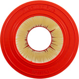 Cartridge, 150sqft, 5-15/16"ot, 6"ob, 10", 24"L, 4oz : PJ150