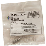 Screw, Pentair Purex Whisperflo/IntelliFlo, 1/4-20 x 1" : 071652Z
